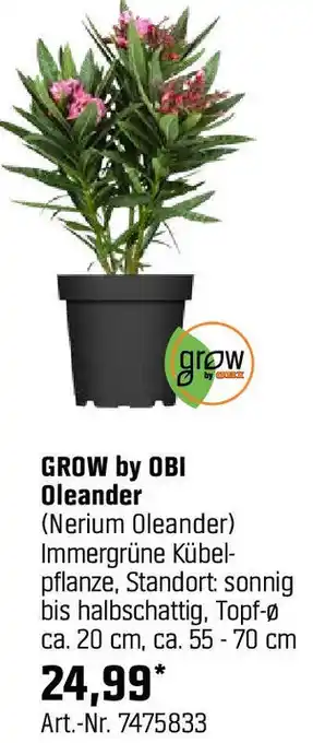 OBI GROW by OBI Oleander Angebot