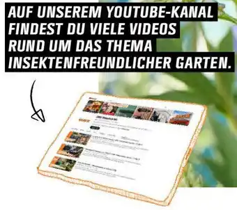OBI AUF UNSEREM YOUTUBE-KANAL FINDEST DU VIELE VIDEOS RUND UM DAS THEMA INSEKTENFREUNDLICHER GARTEN Angebot