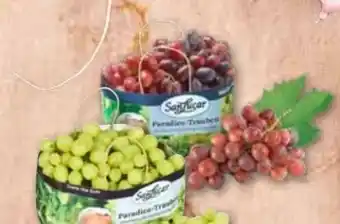 ADEG Trauben Angebot