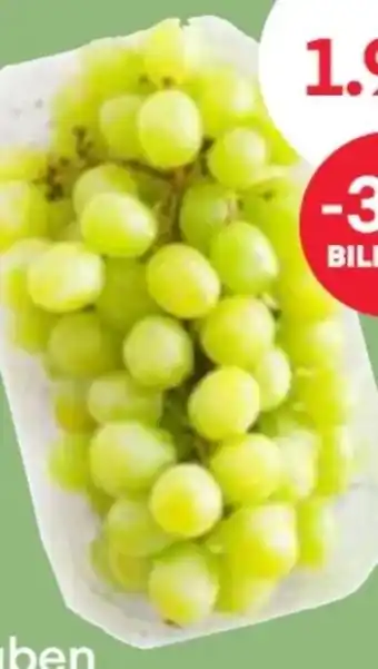 MPreis Trauben Angebot
