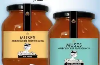 Norma Blütenhonig Angebot