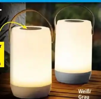 Norma Touch-LED-Leuchte Angebot