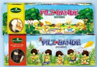 Norma Pilz-Bande Angebot