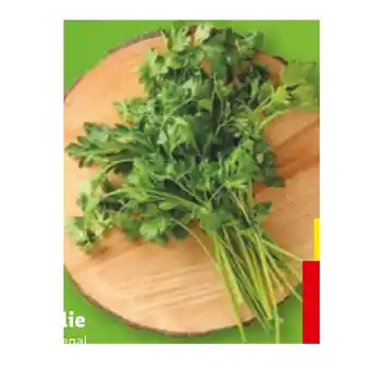 Lidl Petersilie Lidl 30 Gramm Angebot