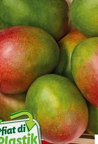 Lidl Mango Angebot