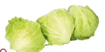 Transgourmet Eisbergsalat Angebot