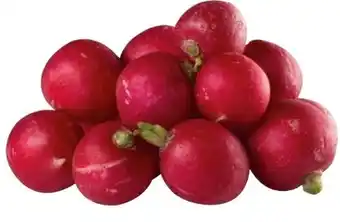 Transgourmet Snack Radieschen Angebot