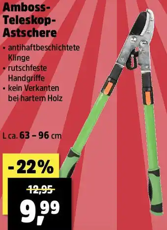 Thomas Philipps Amboss- Teleskop- Astschere Angebot