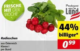 Nah&Frisch Radieschen Angebot