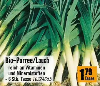 Hornbach Bio-Porree/Lauch Angebot