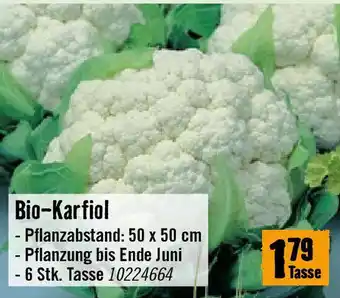 Hornbach Bio-Karfiol Angebot