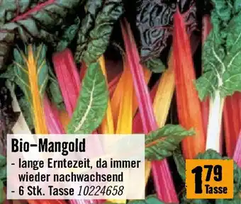 Hornbach Bio-Mangold Angebot