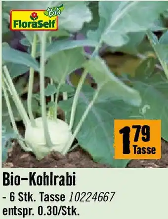 Hornbach Bio-Kohlrabi Angebot