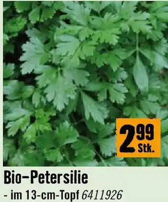 Hornbach Bio-Petersilie Angebot