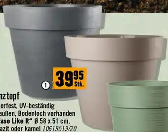 Hornbach Pflanztopf Vaso Like R Angebot