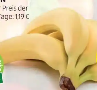 Hofer Bananen Angebot