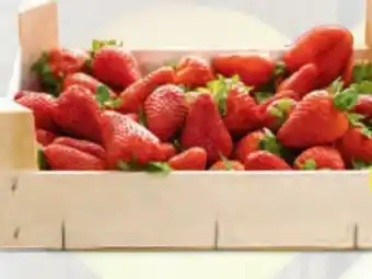 Hofer Erdbeeren Angebot