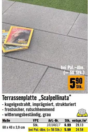 Hornbach Terrassenplatte Scalpellinata Angebot