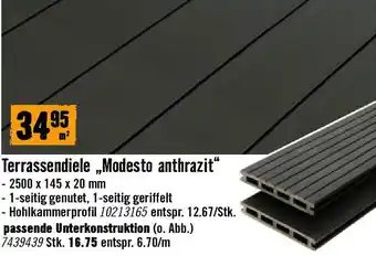 Hornbach Terrassendiele Modesto anthrazit Angebot