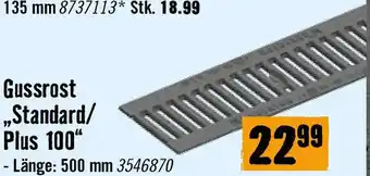 Hornbach Gussrost _Standard/ Plus 100 Angebot