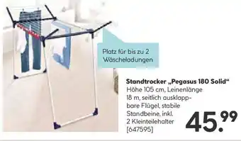 Hellweg Standtrocker Pegasus 180 Solid Angebot