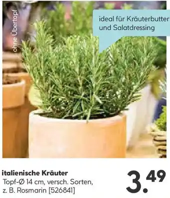 Hellweg italienische Kräuter Angebot