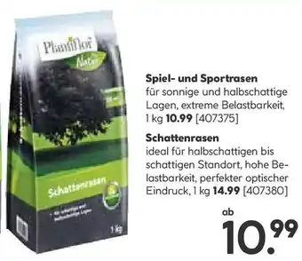 Hellweg Spiel- und Sportrasen Angebot