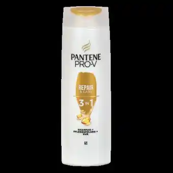 dm Shampoo Angebot