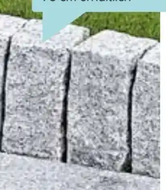 Hellweg Granit-Palisade Angebot