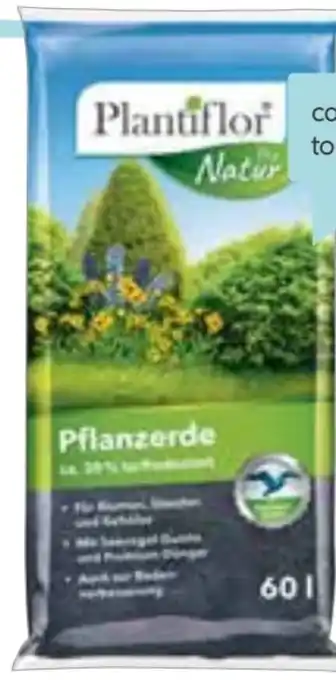 Hellweg Pflanzerde Angebot