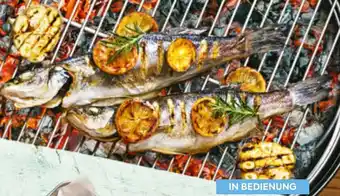 Billa Goldbrasse od. Wolfsbarsch Angebot