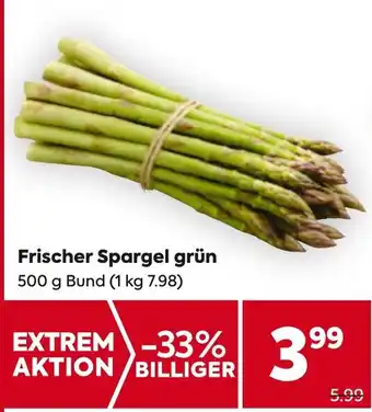 Billa Frischer Spargel grün 500 g Bund Angebot