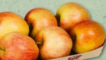 ADEG Bio Äpfel Angebot