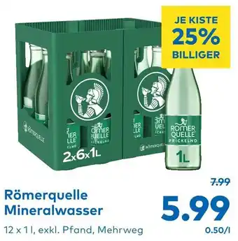 T&G Römerquelle Mineralwasser 12 x 1L Angebot