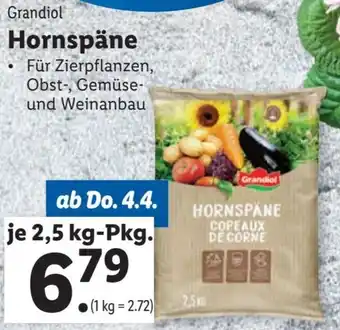 Lidl Hornspäne Angebot