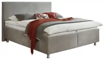 XXXLutz Polsterbett Angebot