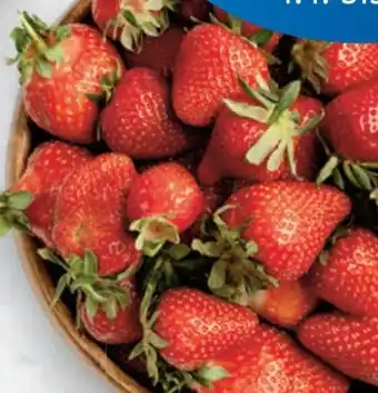 Lidl Erdbeeren Angebot