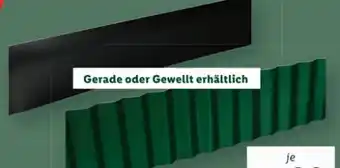 Lidl Rasenkantenprofile Angebot