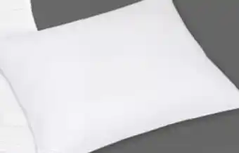 Maximarkt Kissen Angebot