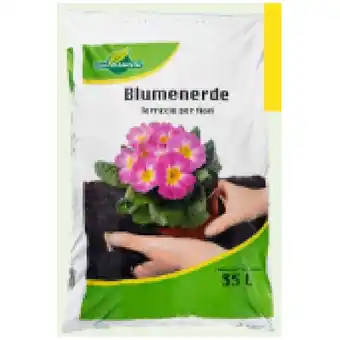 T&G GartenMeister Blumenerde T&G 35 Liter 1 Sack Angebot