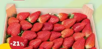 PENNY Premium Erdbeeren Angebot