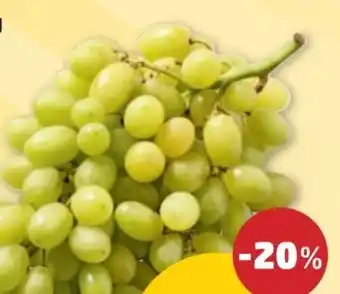 PENNY Trauben Angebot