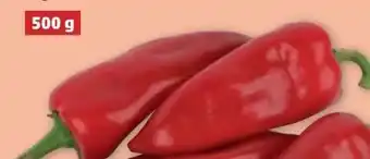 PENNY Spitzpaprika Angebot