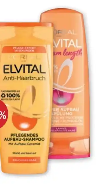PENNY Elvital Shampoo Angebot