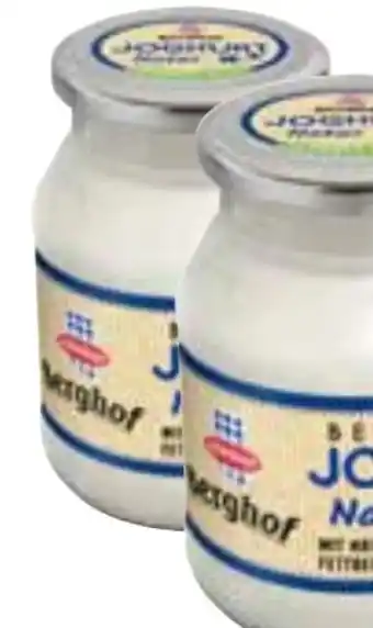 MPreis Berghof Joghurt Angebot
