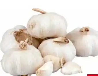 Transgourmet Knoblauch Angebot