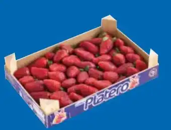 T&G Erdbeeren Angebot