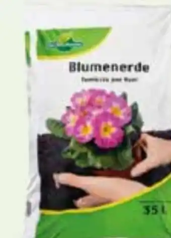 T&G Blumenerde Angebot