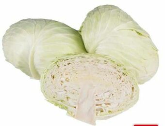 Transgourmet Braunschweiger Kraut Angebot