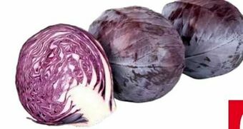 Transgourmet Rotkraut Angebot
